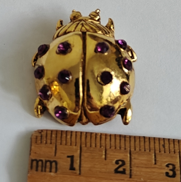 Vintage Rene Gouin Ladybug Brooch with Purple Amethyst Glass Accents - Picture 10 of 12